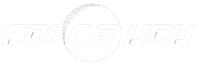 Cric Guru Logo
